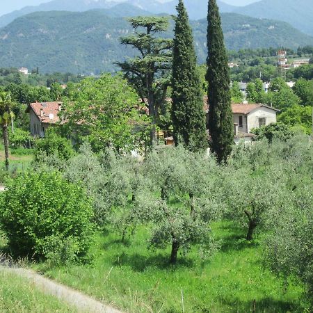 Agriturismo Bonu Gabriele Salò Εξωτερικό φωτογραφία
